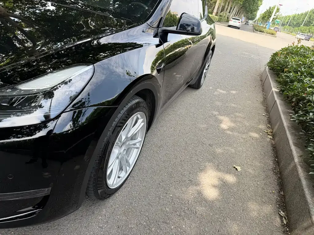 Tesla Model Y — фото 9