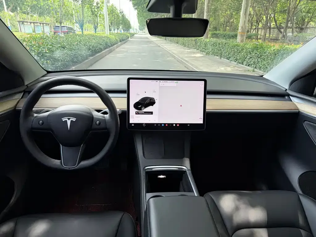 Tesla Model Y — фото 6