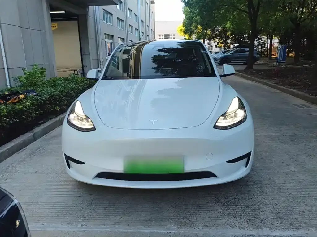 Tesla Model Y — фото 3