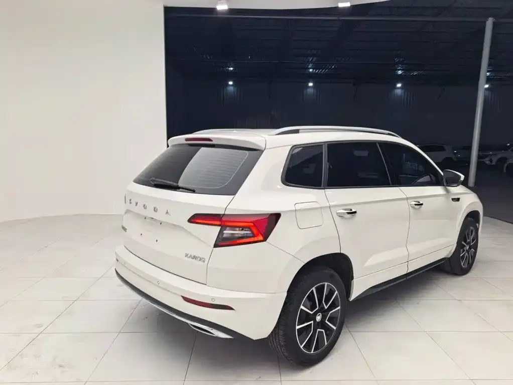 Skoda Karoq — фото 9