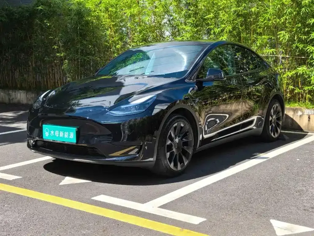 Tesla Model Y — фото 1