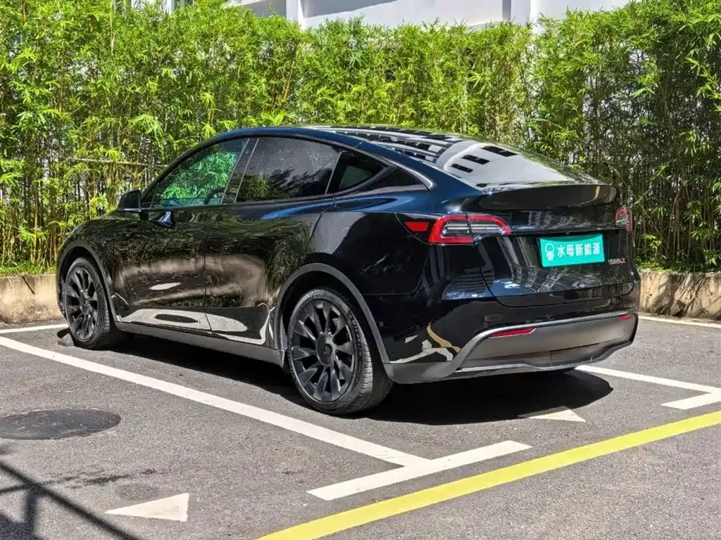 Tesla Model Y — фото 10