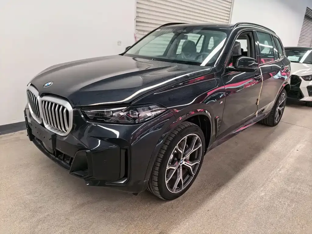 BMW X5 xDrive 30Li Premium M Sport Night 1