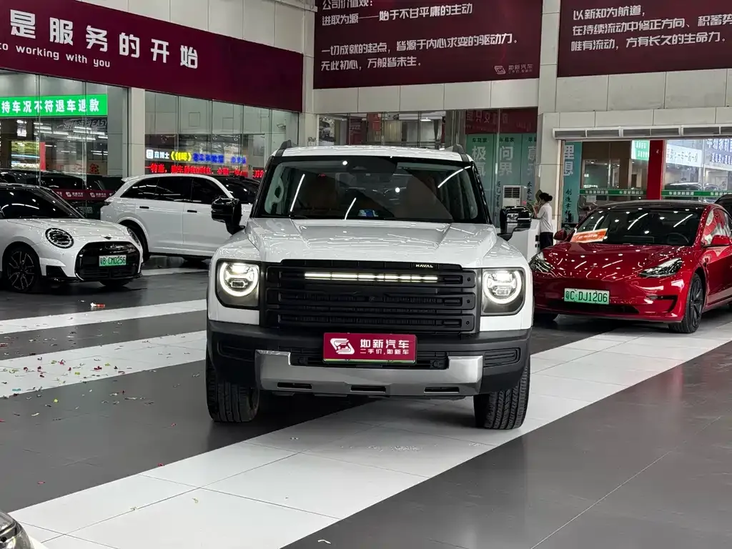 Haval Menglong New Energy — фото 10