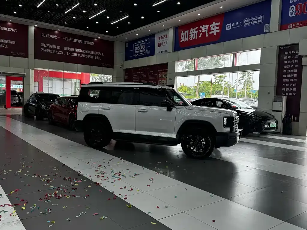Haval Menglong New Energy — фото 9