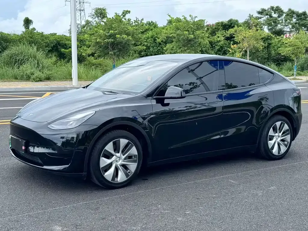 Tesla Model Y — фото 1