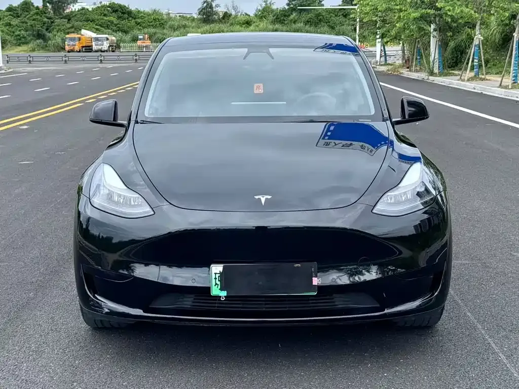 Tesla Model Y — фото 8