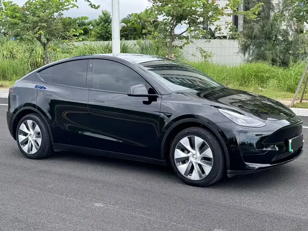 Tesla Model Y — фото 6