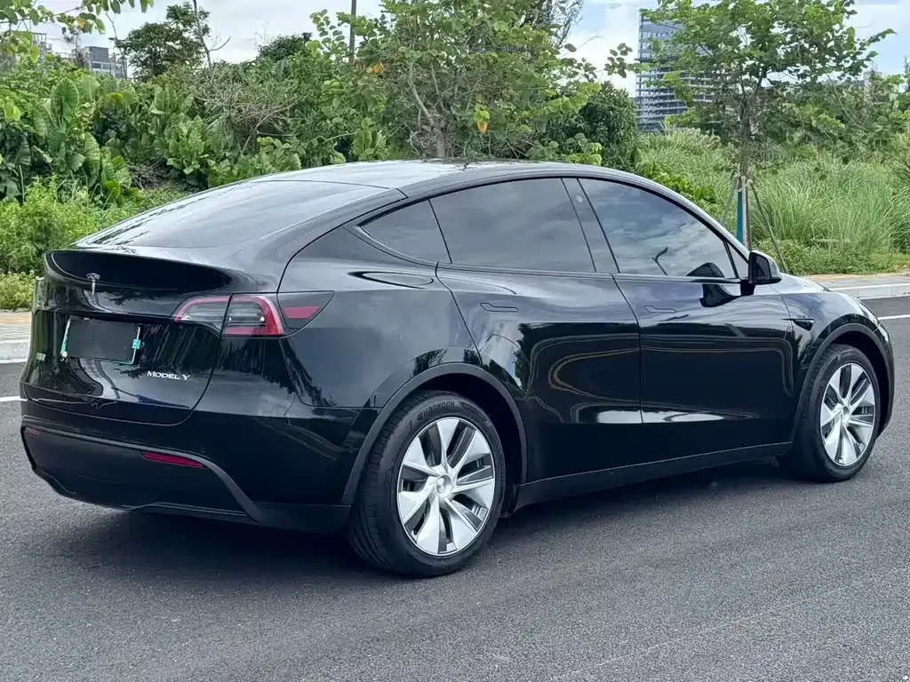 Tesla Model Y — фото 9