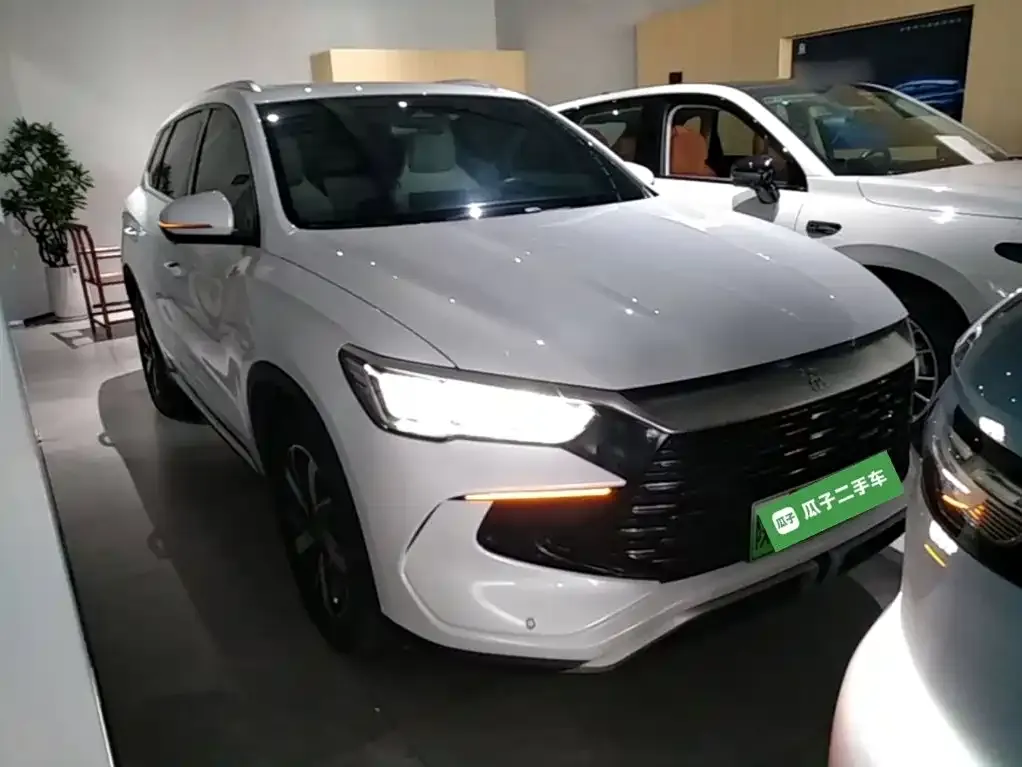BYD Pro New Energy — фото 4