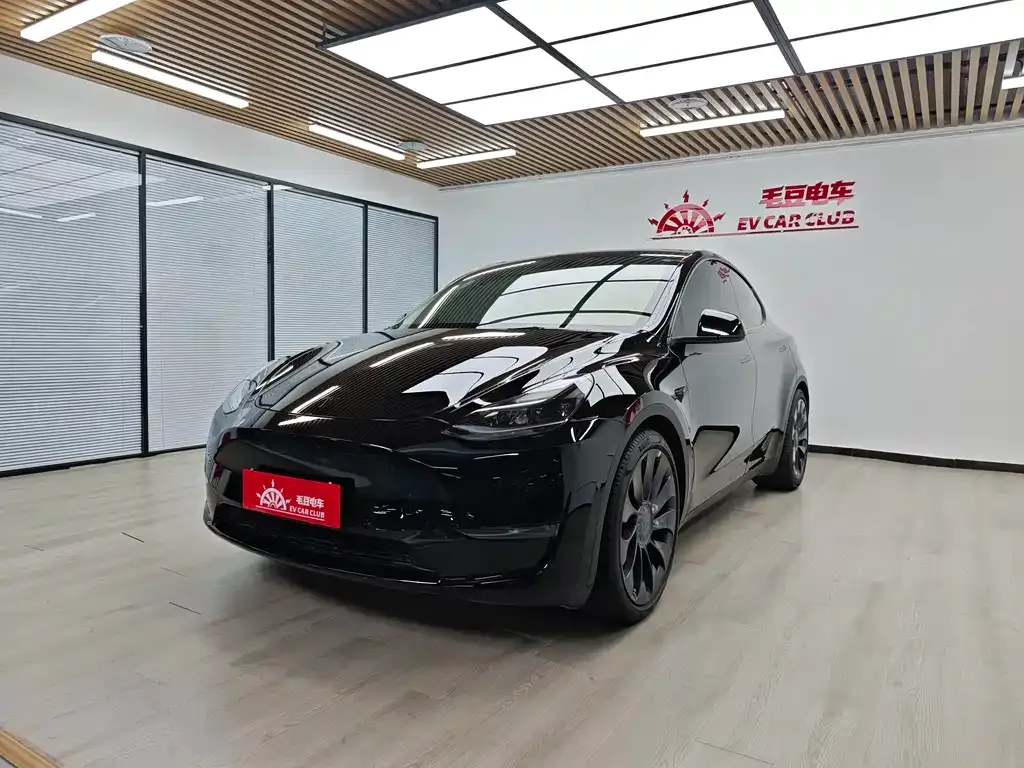Tesla Model Y — фото 1