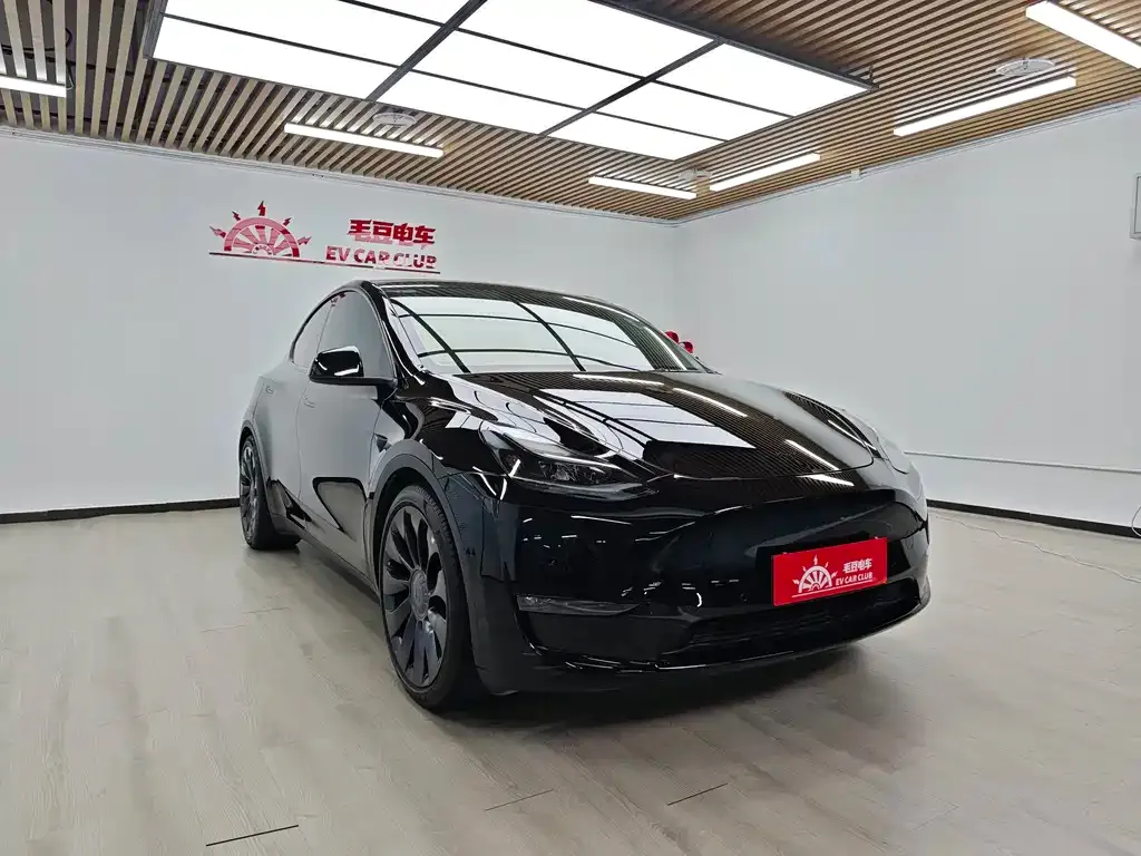 Tesla Model Y — фото 8