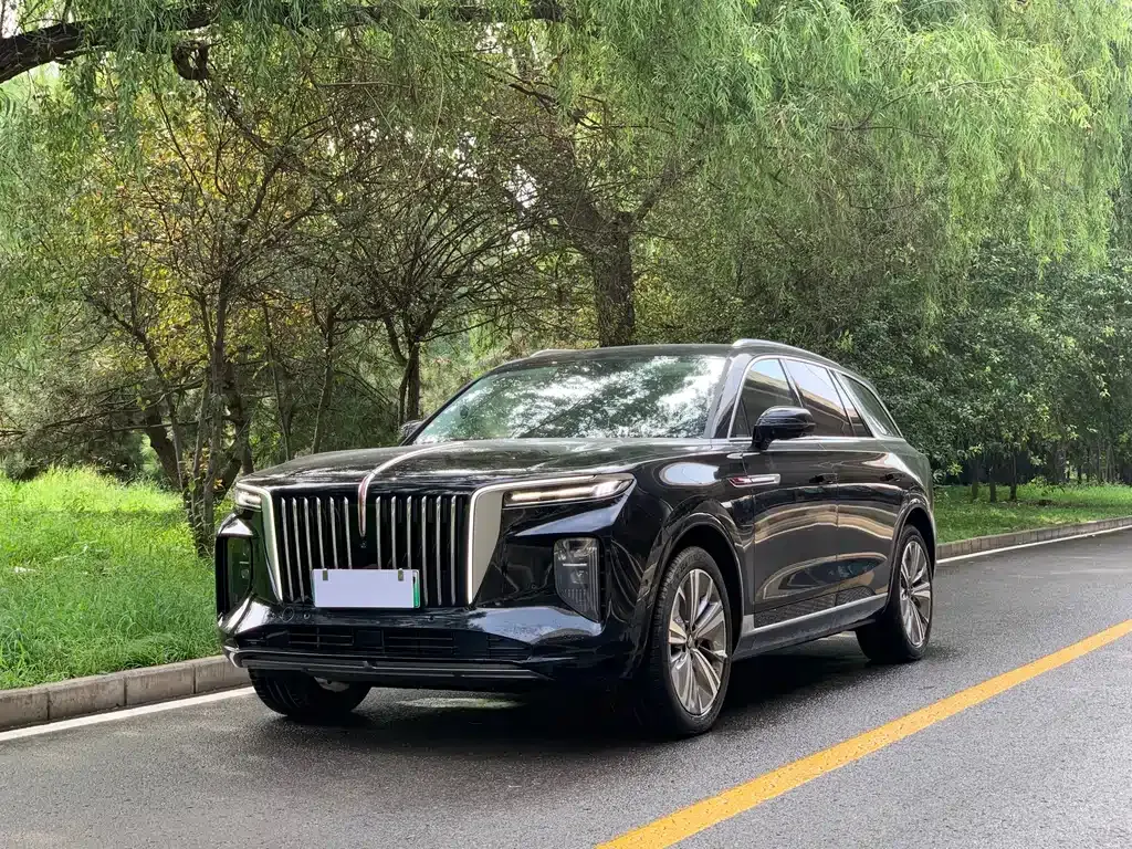 Hongqi E-HS9 — фото 1