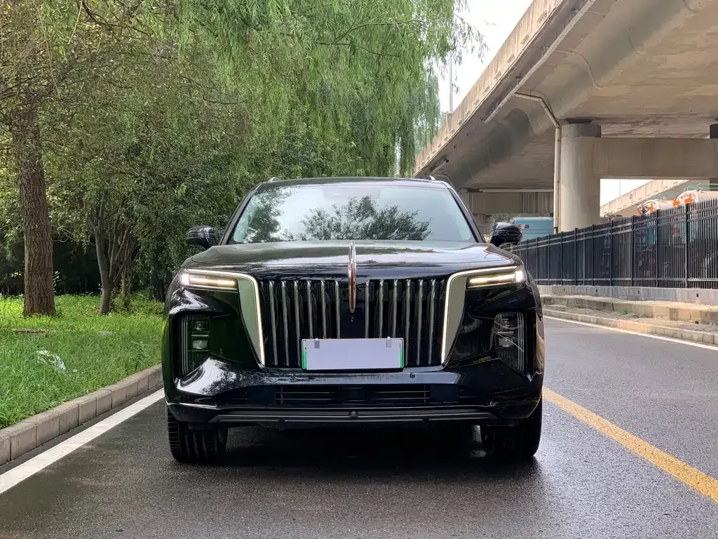 Hongqi E-HS9 — фото 9