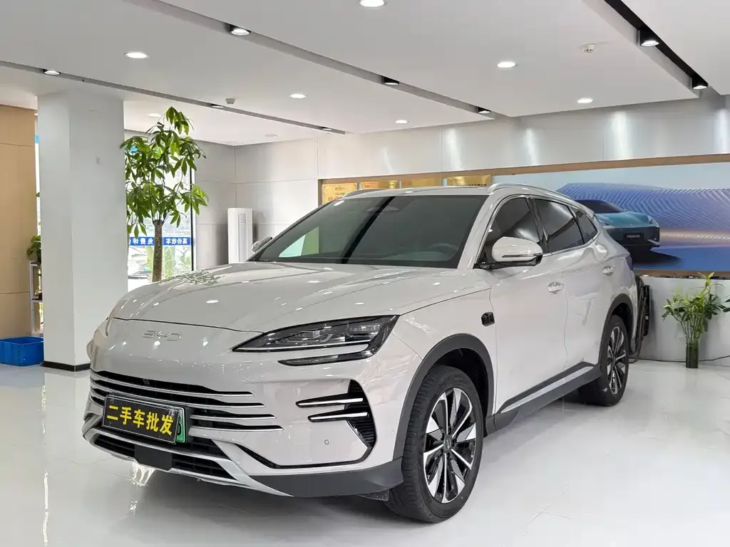 BYD PLUS New Energy — фото 1