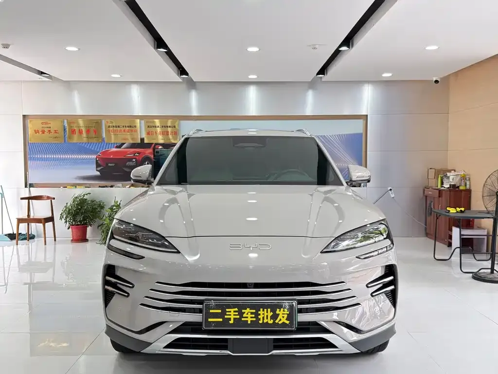 BYD PLUS New Energy — фото 4