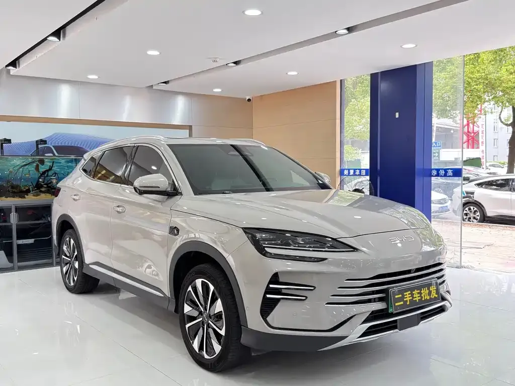 BYD PLUS New Energy — фото 8