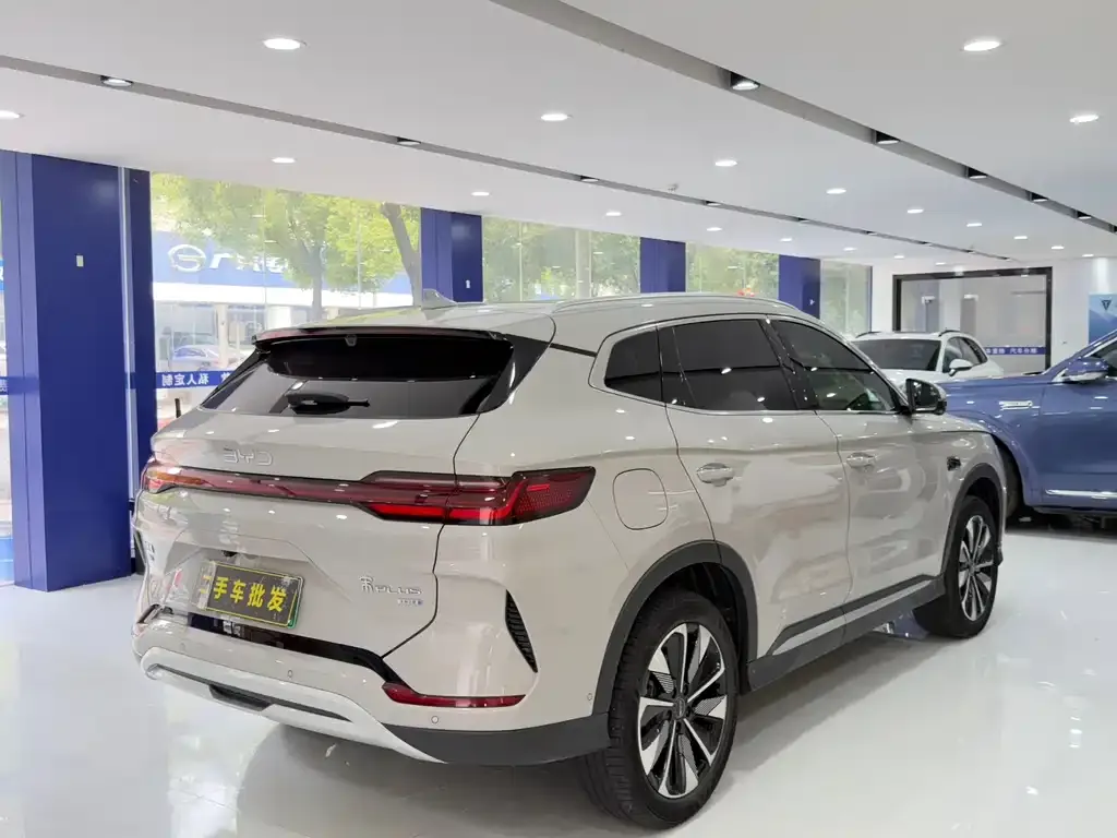 BYD PLUS New Energy — фото 9