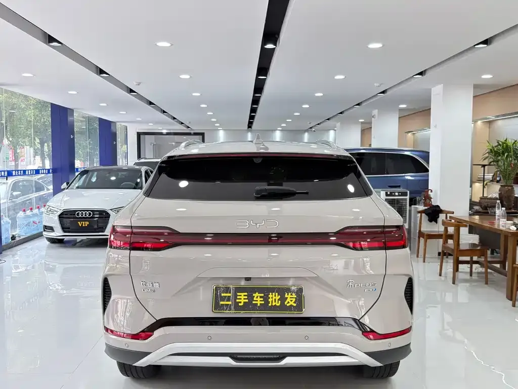 BYD PLUS New Energy — фото 7
