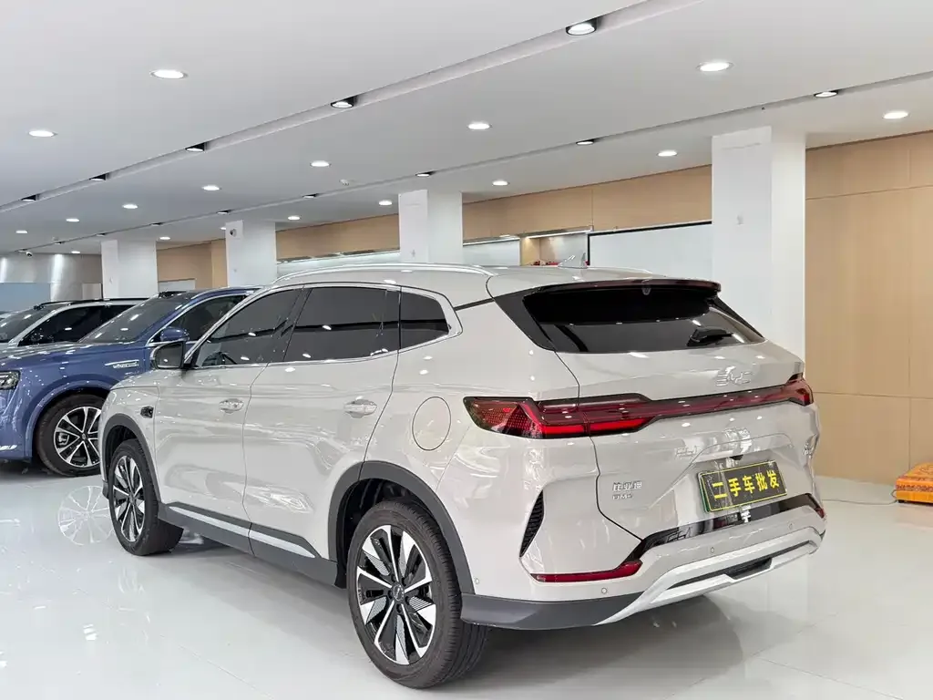 BYD PLUS New Energy — фото 10