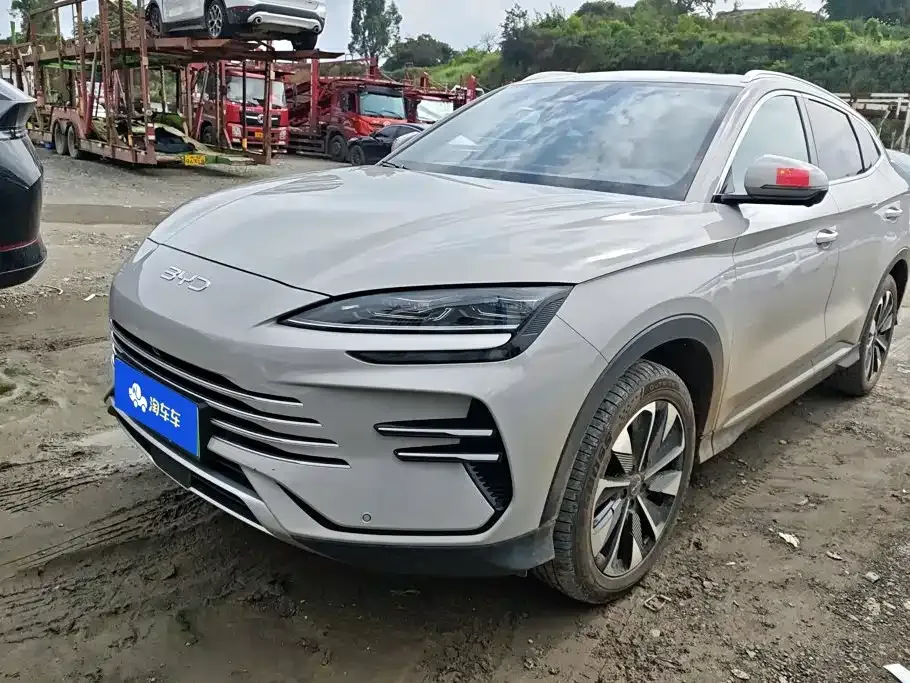 BYD PLUS New Energy — фото 1