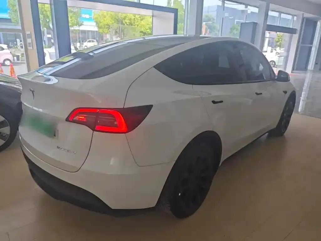 Tesla Model Y — фото 9