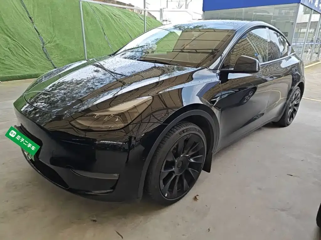 Tesla Model Y — фото 8