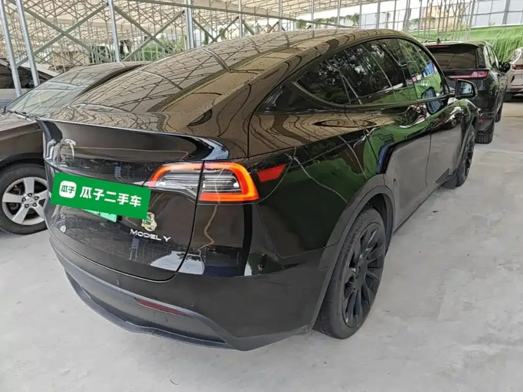 Tesla Model Y — фото 10