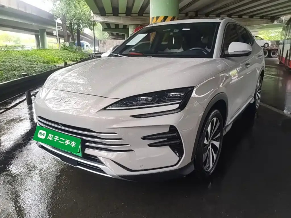 BYD PLUS New Energy — фото 8