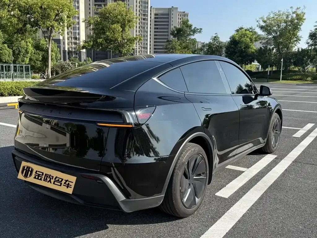 Tesla Model Y — фото 6