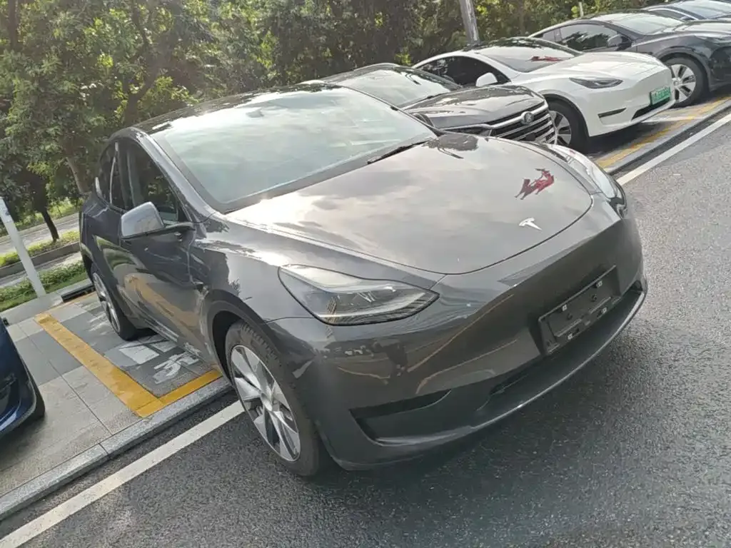 Tesla Model Y — фото 3