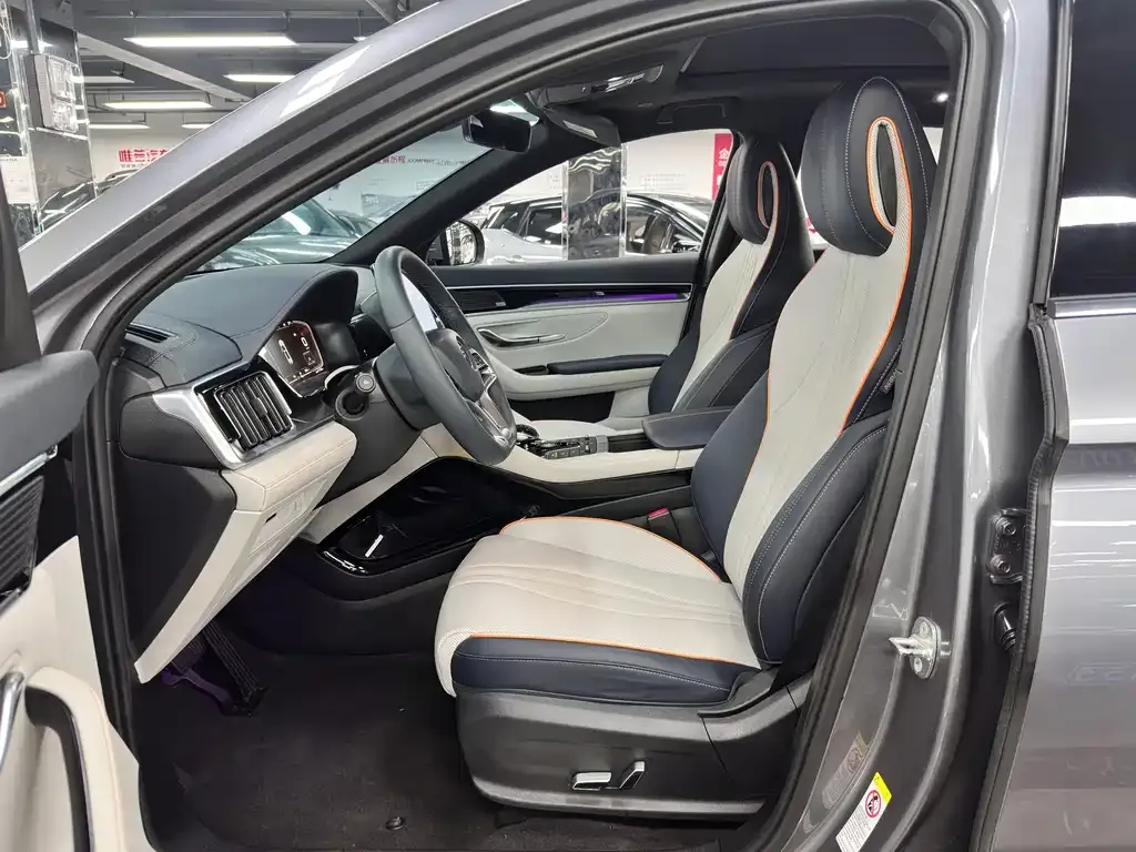 BYD PLUS New Energy — фото 6