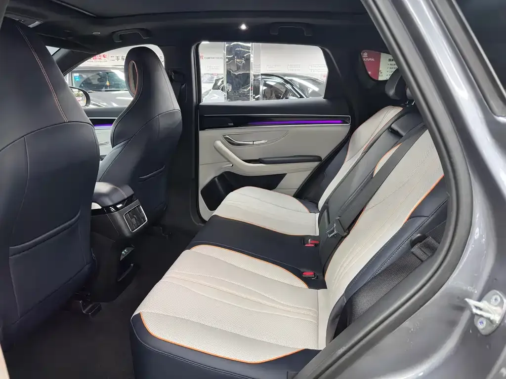 BYD PLUS New Energy — фото 10