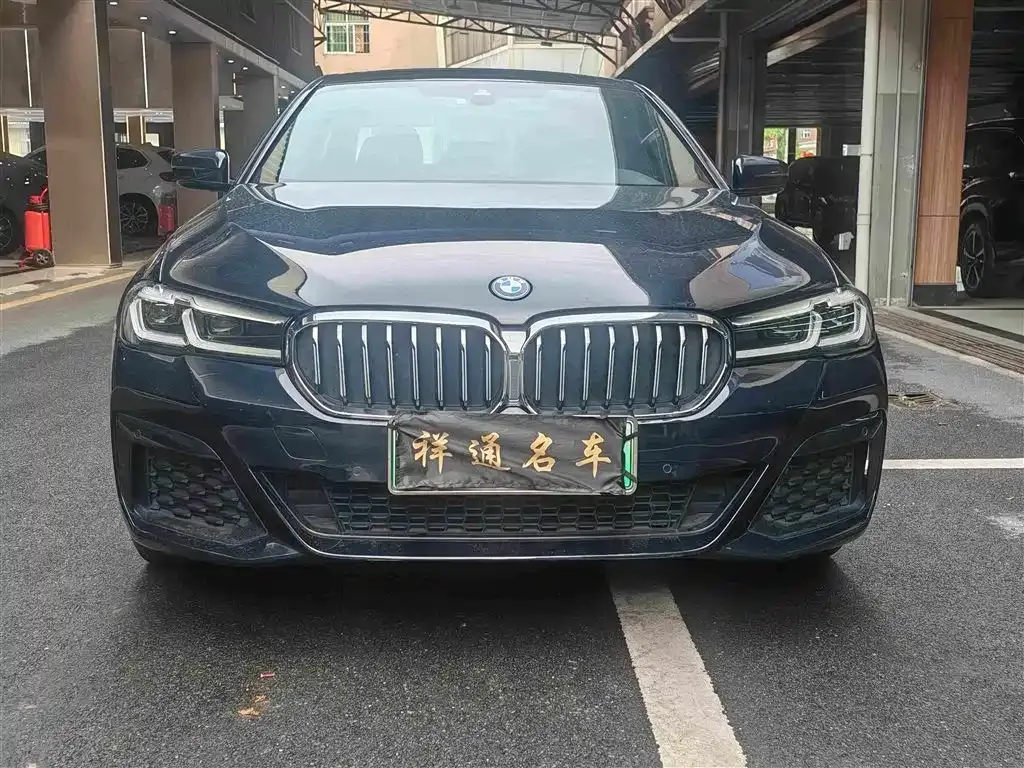 BMW 5 Series New Energy — фото 10