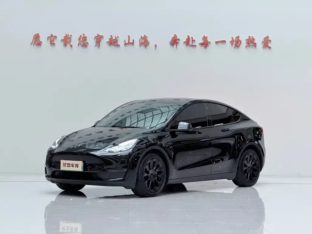 Tesla Model Y — фото 1