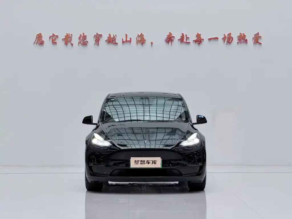 Tesla Model Y — фото 2
