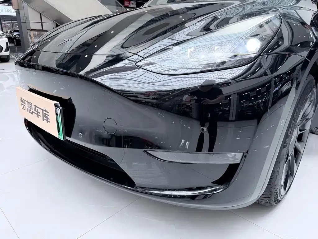 Tesla Model Y — фото 10