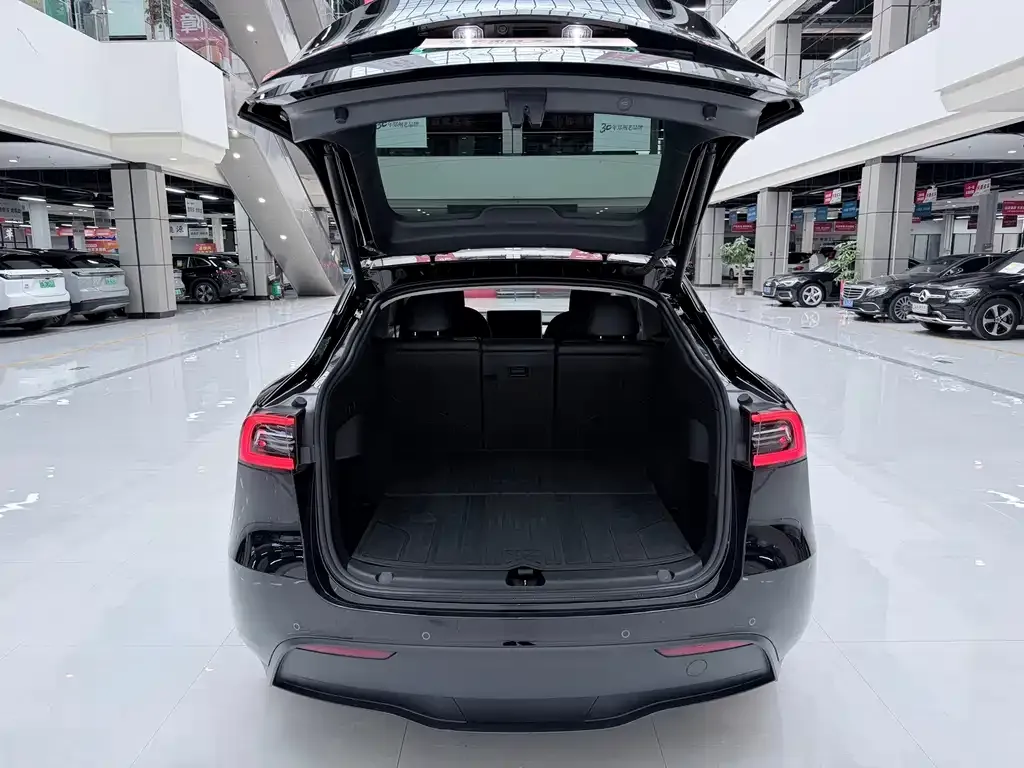 Tesla Model Y — фото 8