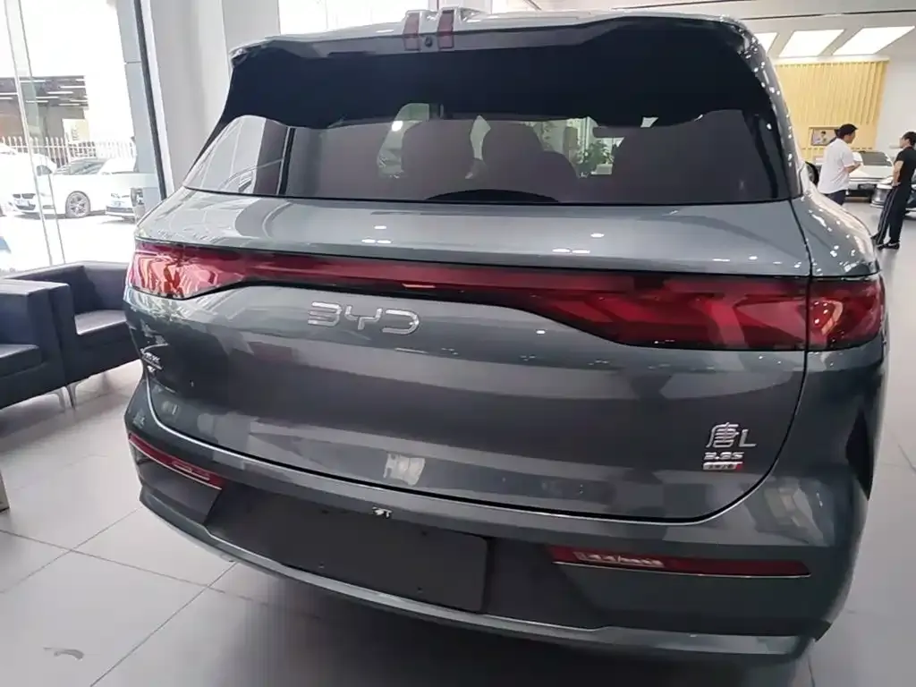BYD Tang L — фото 2