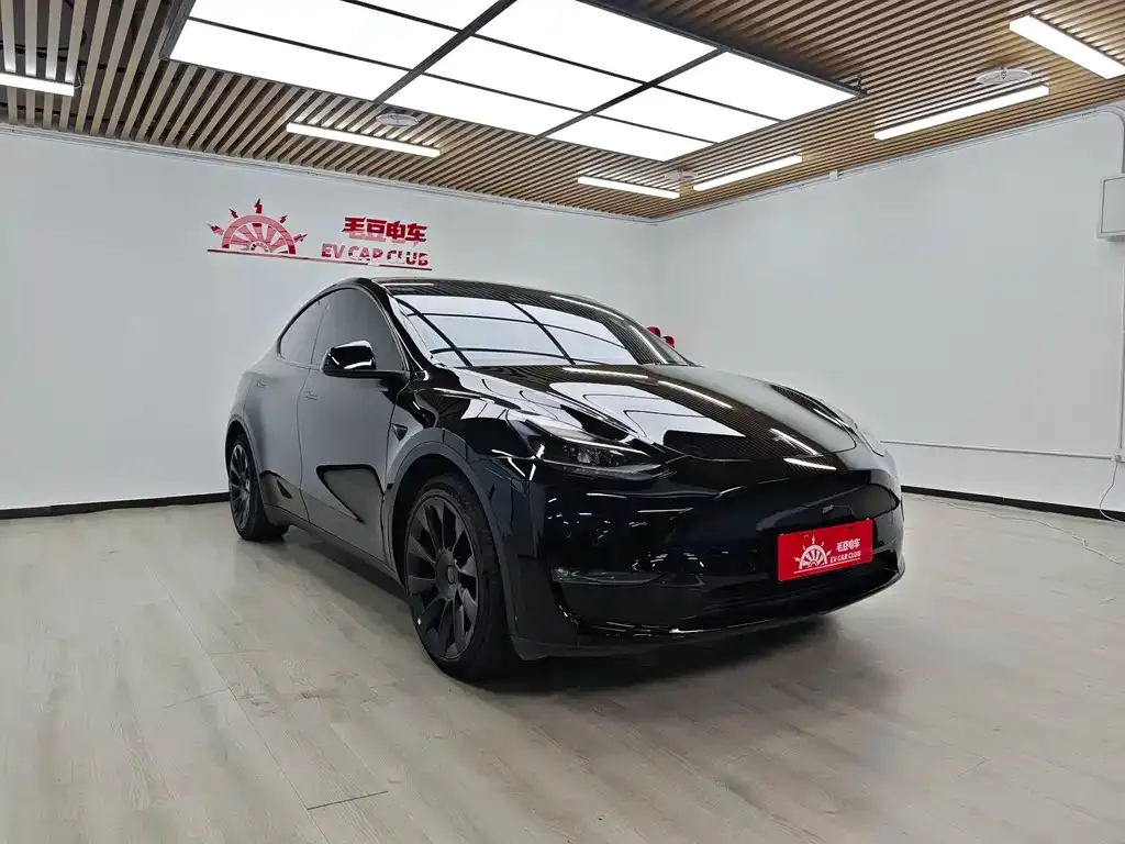 Tesla Model Y — фото 10