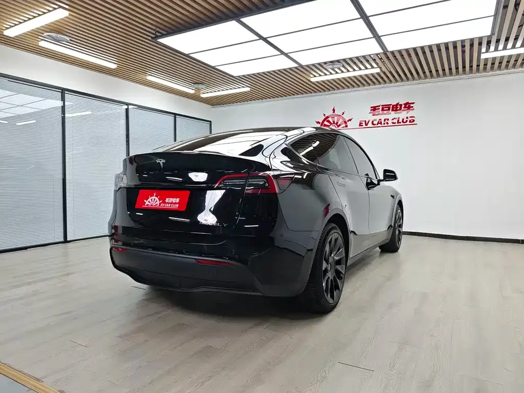 Tesla Model Y — фото 9