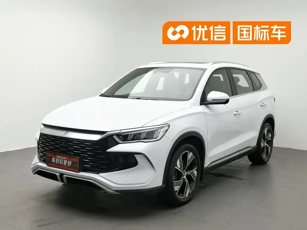BYD Pro New Energy — фото 1