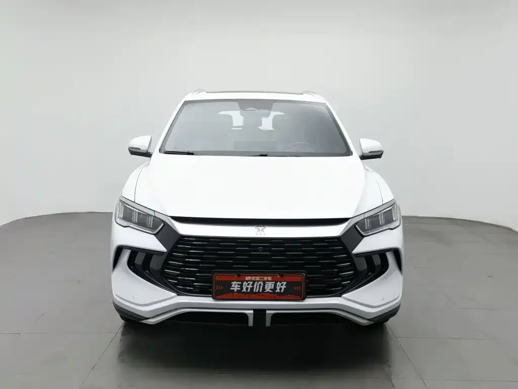 BYD Pro New Energy — фото 2