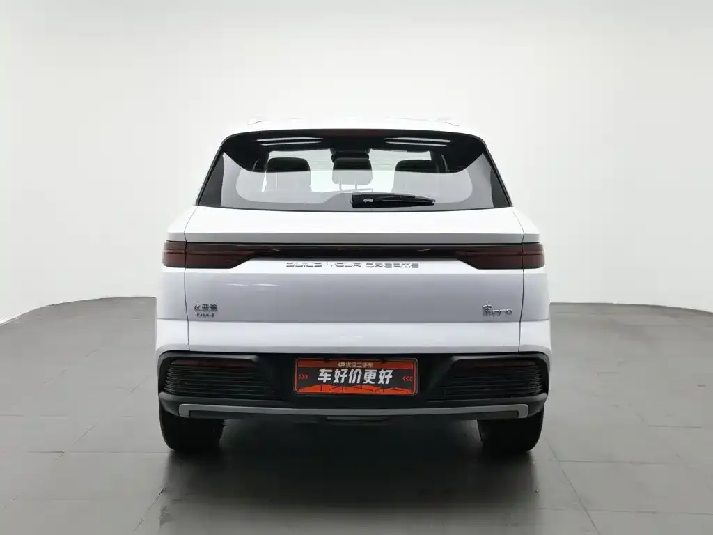 BYD Pro New Energy — фото 3