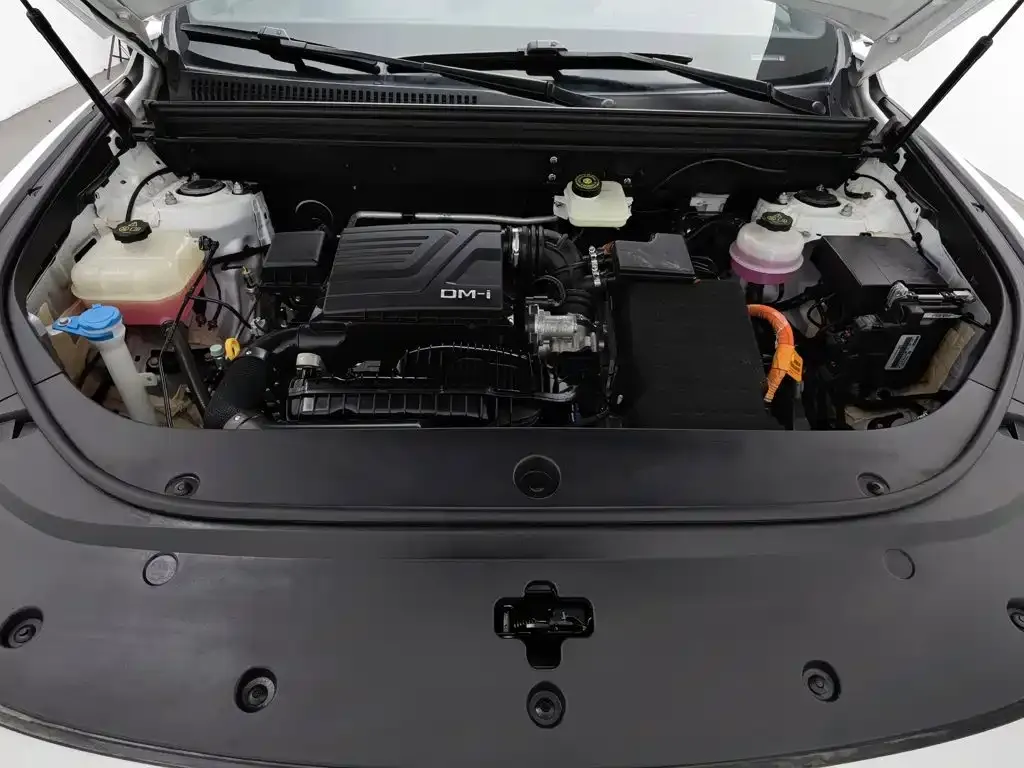BYD Pro New Energy — фото 9