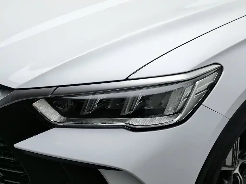 BYD Pro New Energy — фото 5