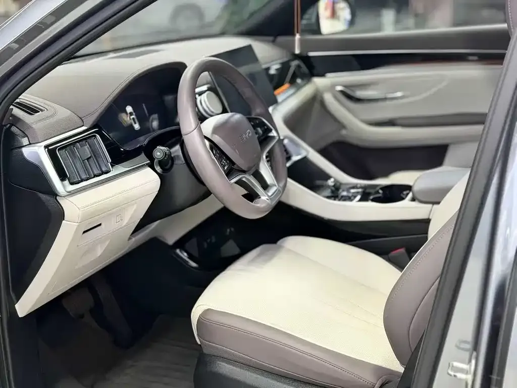 BYD PLUS New Energy — фото 8