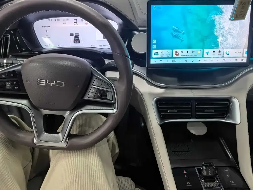 BYD PLUS New Energy — фото 10