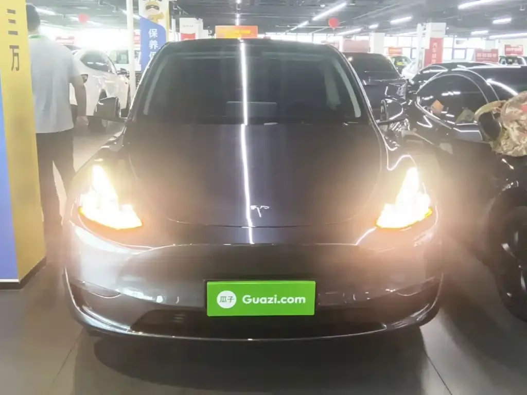 Tesla Model Y — фото 9