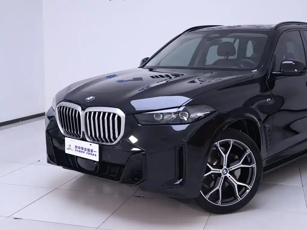 BMW X5 — фото 4
